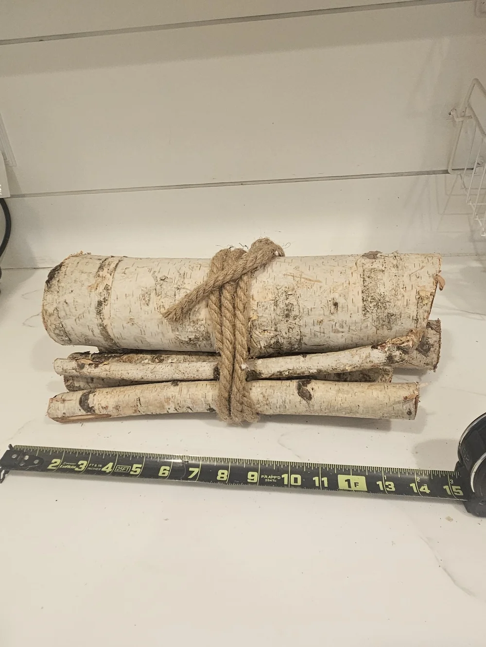 Bundle of White Birch Logs with Rope Accent